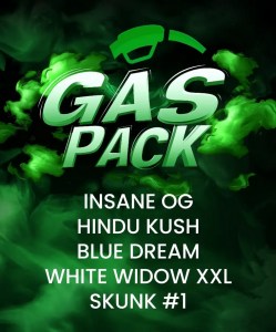 gas_pack_fem